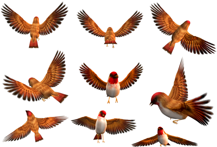 Animated_ Flock_of_ Birds_in_ Flight PNG Image