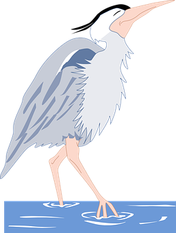 Animated Heron Wadingin Water PNG Image