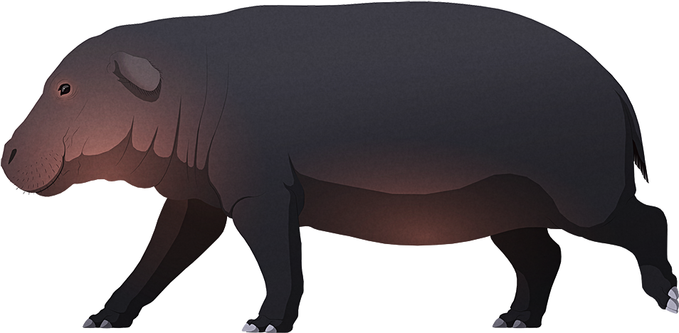 Animated Hippopotamus Side View PNG Image