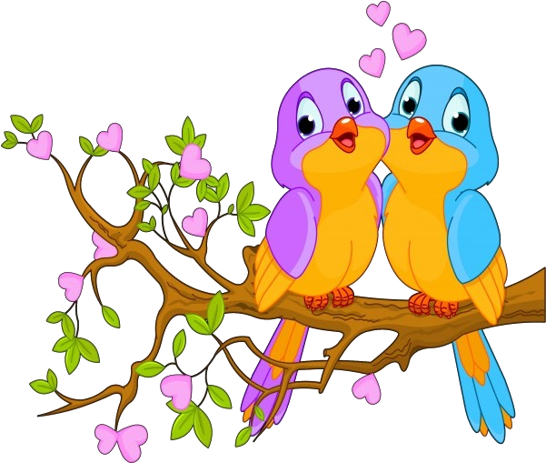 Animated Love Birdson Branch PNG Image