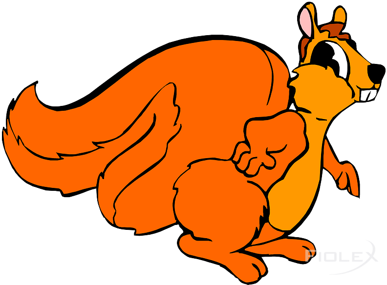 Animated Orange Squirrel Cartoon PNG Image