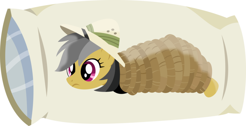 Animated Pony Body Pillow PNG Image