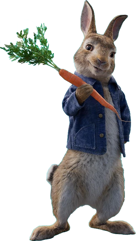 Animated Rabbit Holding Carrot PNG Image