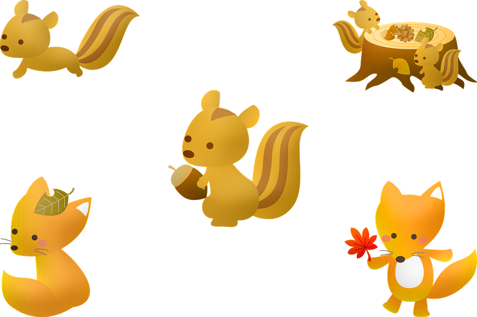 Animated Squirrel Collection PNG Image