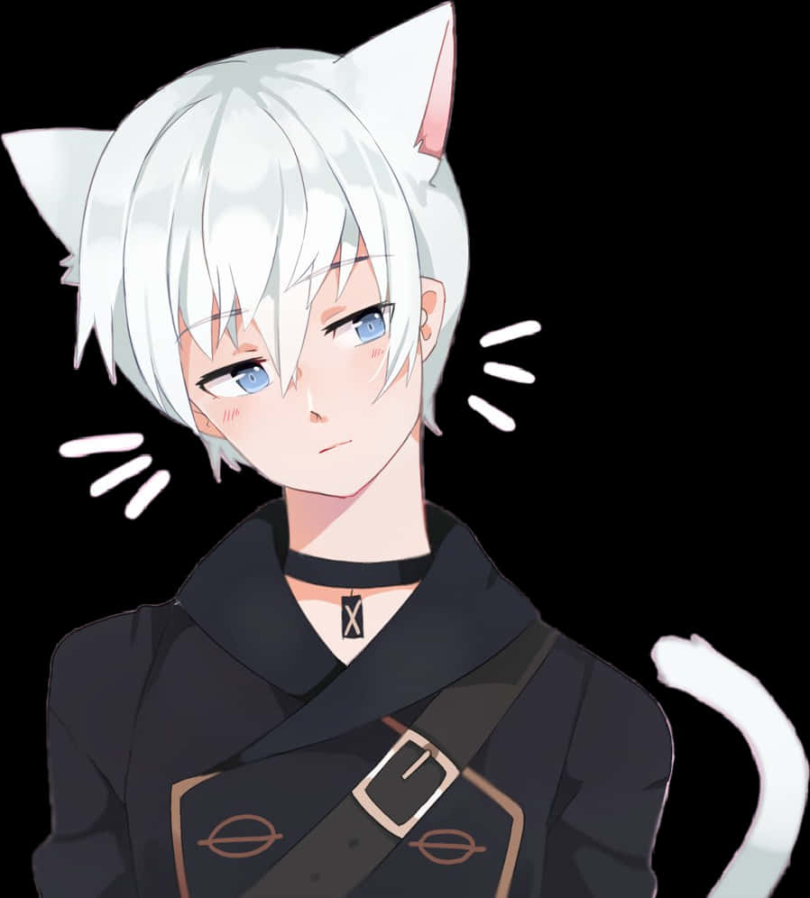 Anime Boy With White Hairand Cat Ears PNG Image