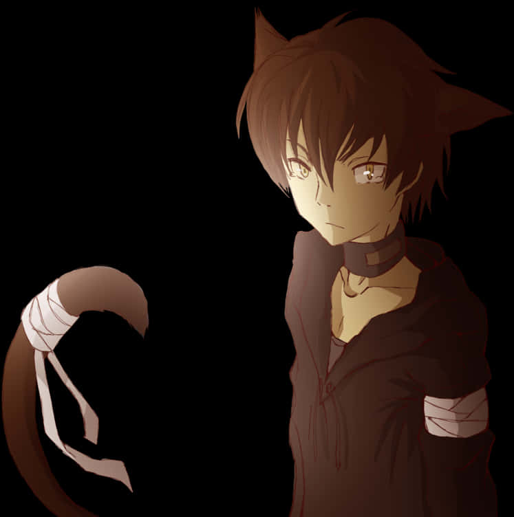 Anime Characterwith Cat Earsand Tail PNG Image