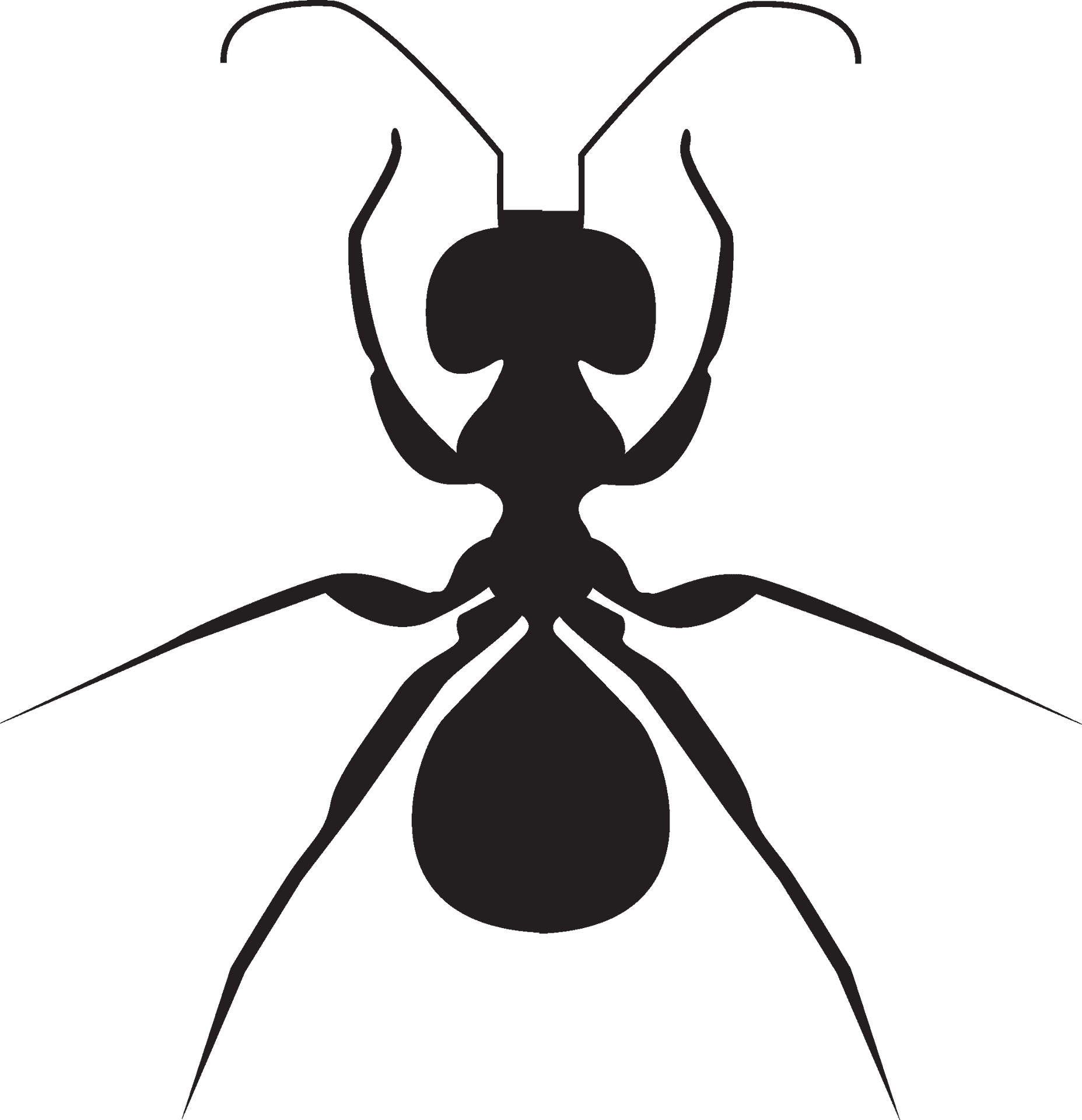 Ant_ Silhouette_ Vector_ Graphic PNG Image