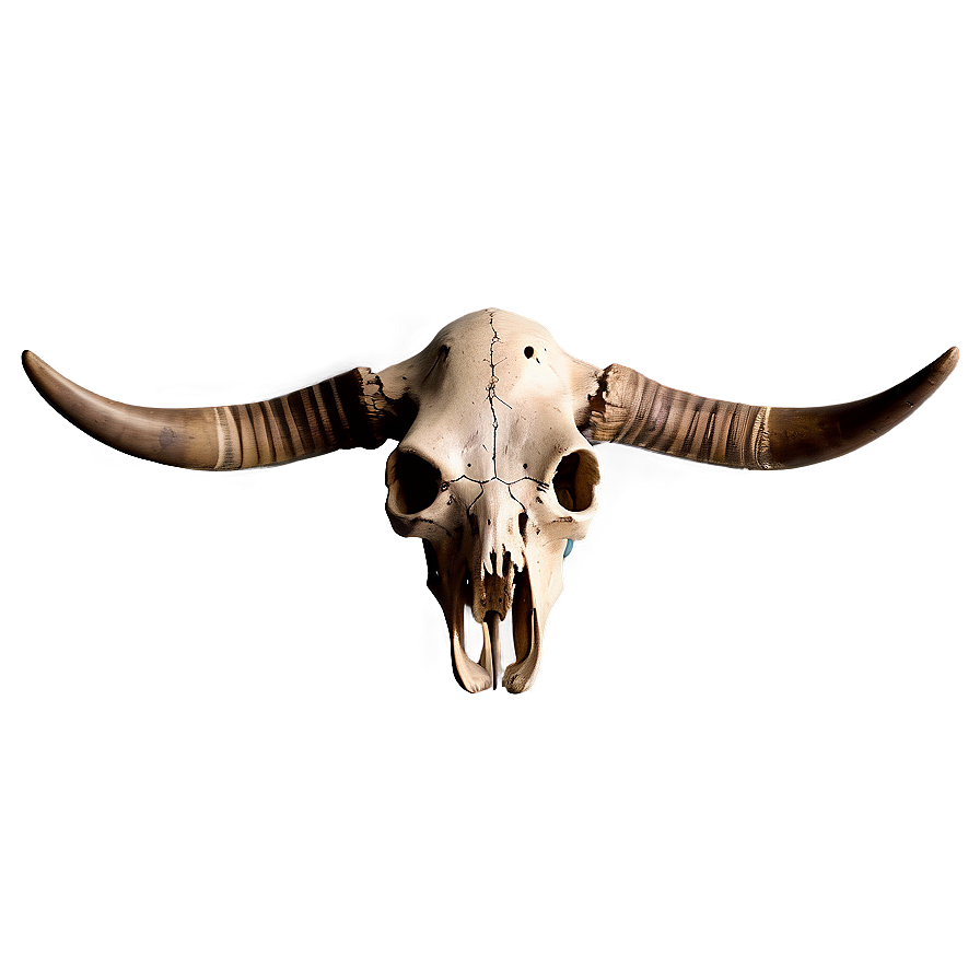 Antique Cow Skull Png 06132024 PNG Image