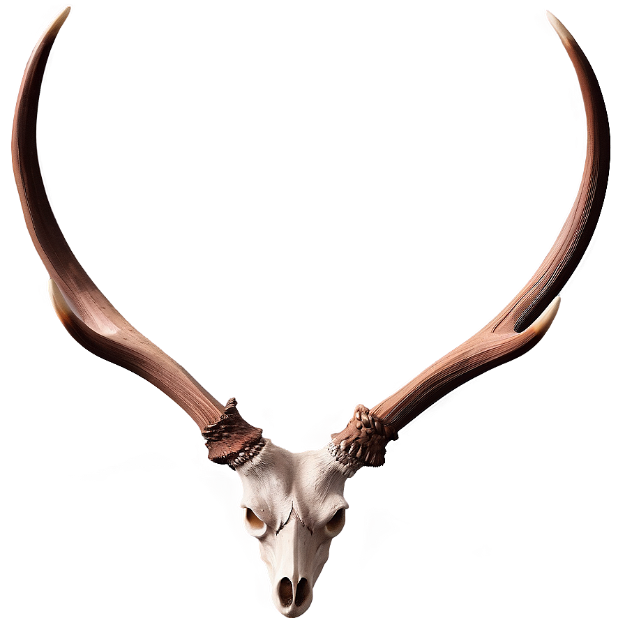 Antler Illustration Png 60 PNG Image