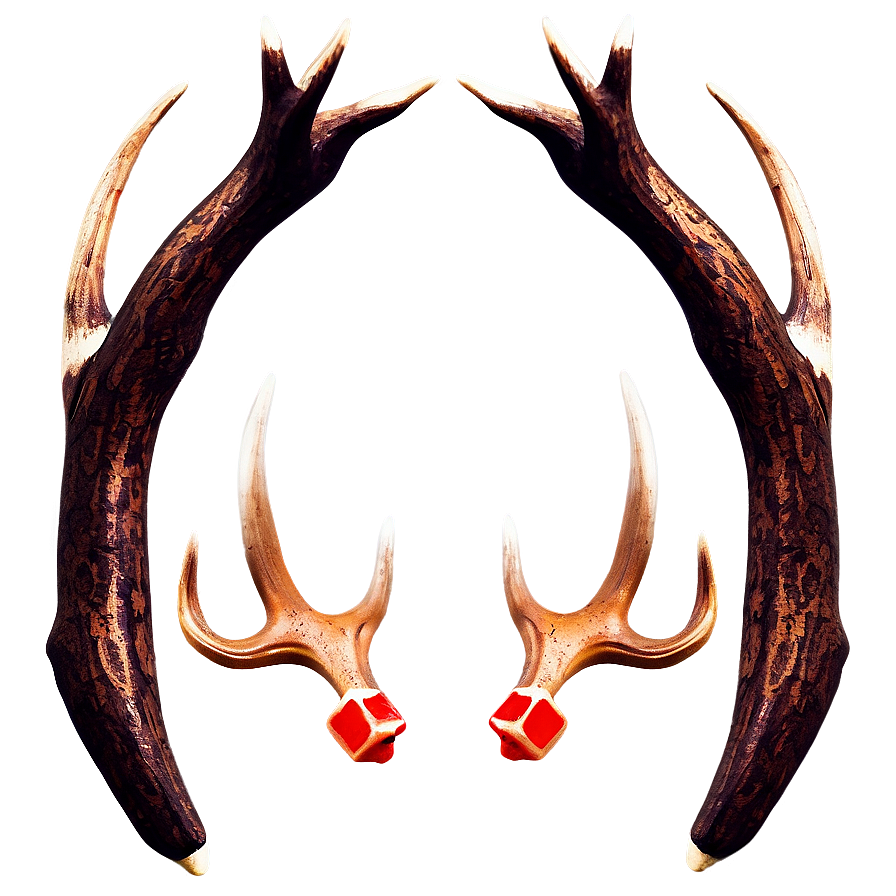 Antler Illustration Png Bha PNG Image