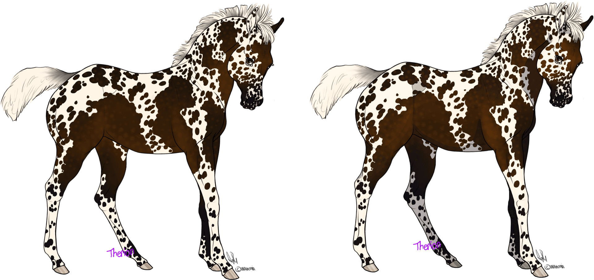 Appaloosa Foal Twin Illustration PNG Image