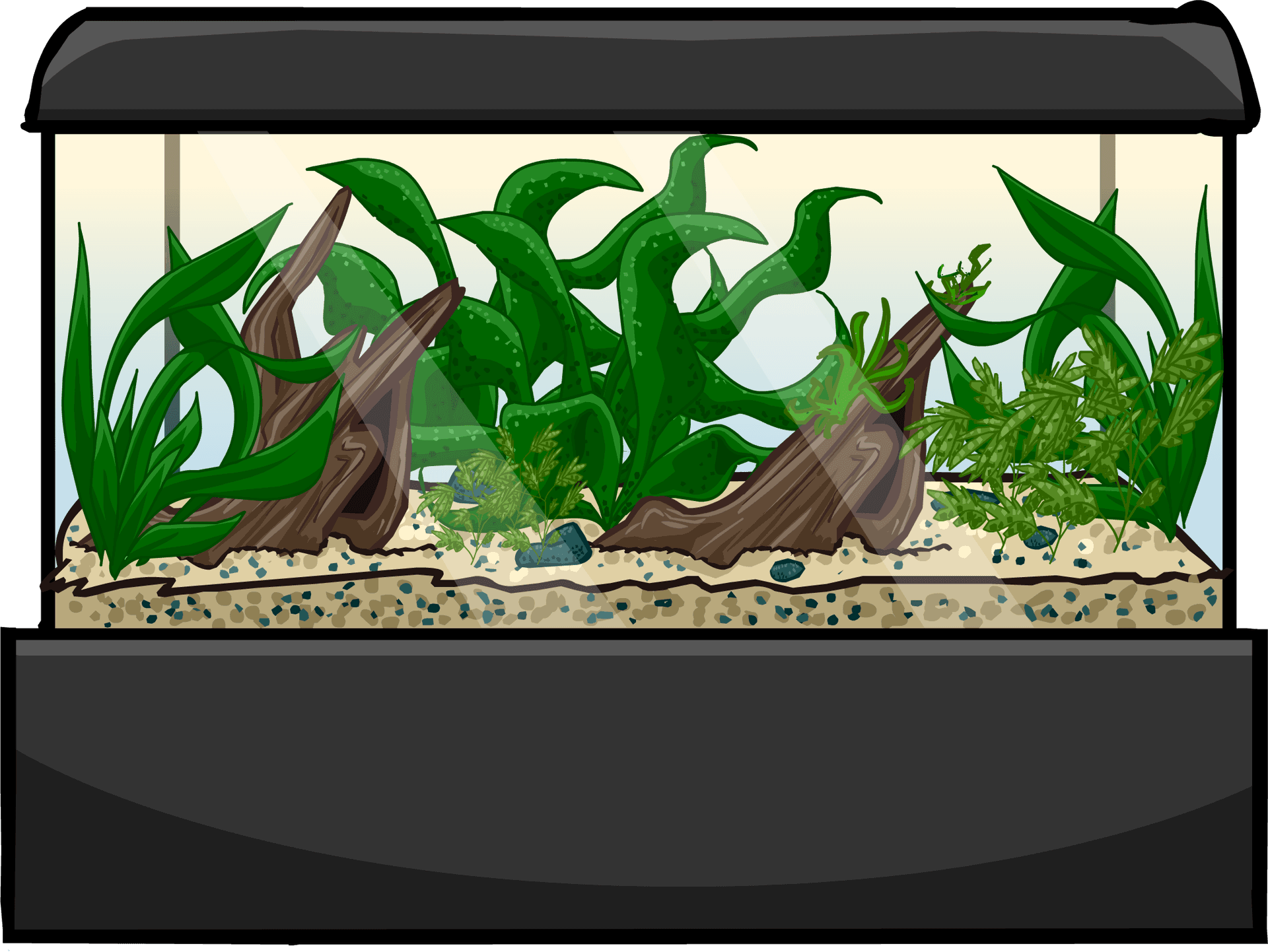 Aquarium Plantsand Driftwood Setup.png PNG Image