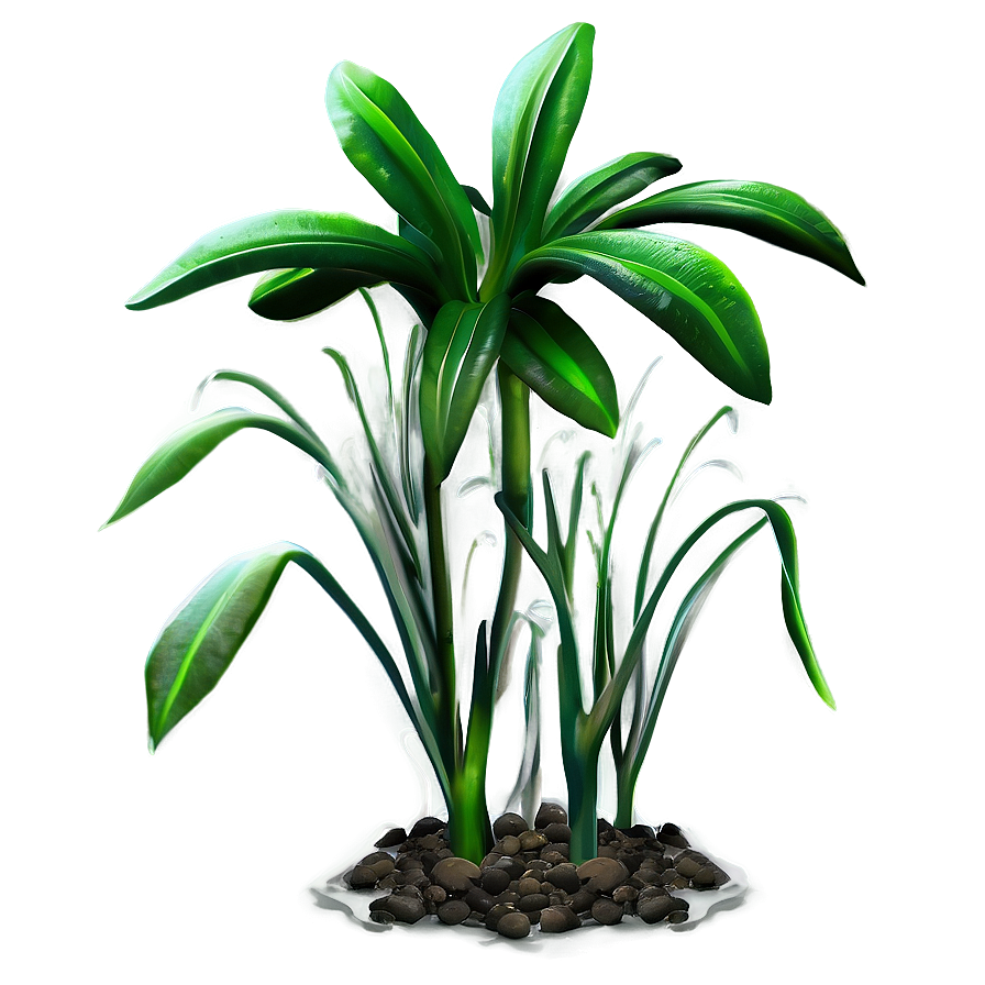 Aquatic Plant Png Faq91 PNG Image