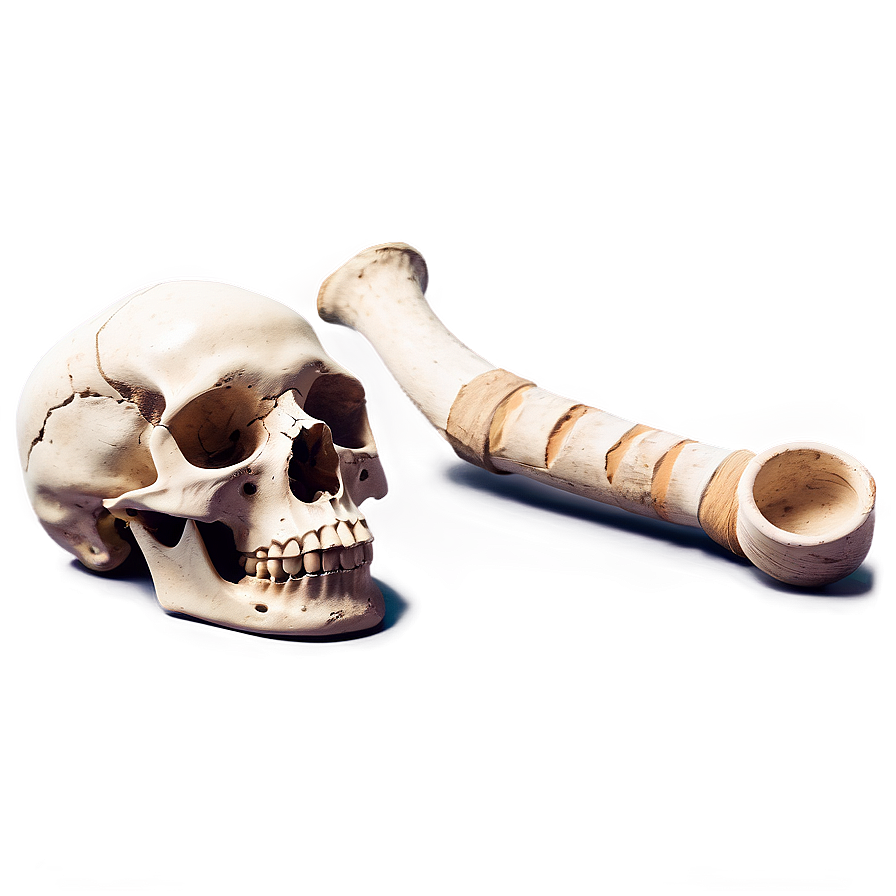 Archeological Dig Bones Png Xwn PNG Image