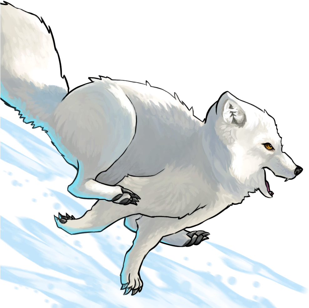 Arctic Foxin Snowy Terrain PNG Image