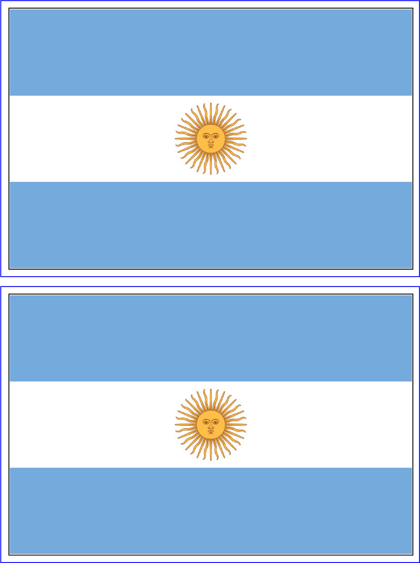 Argentinian Flag Twin Display PNG Image