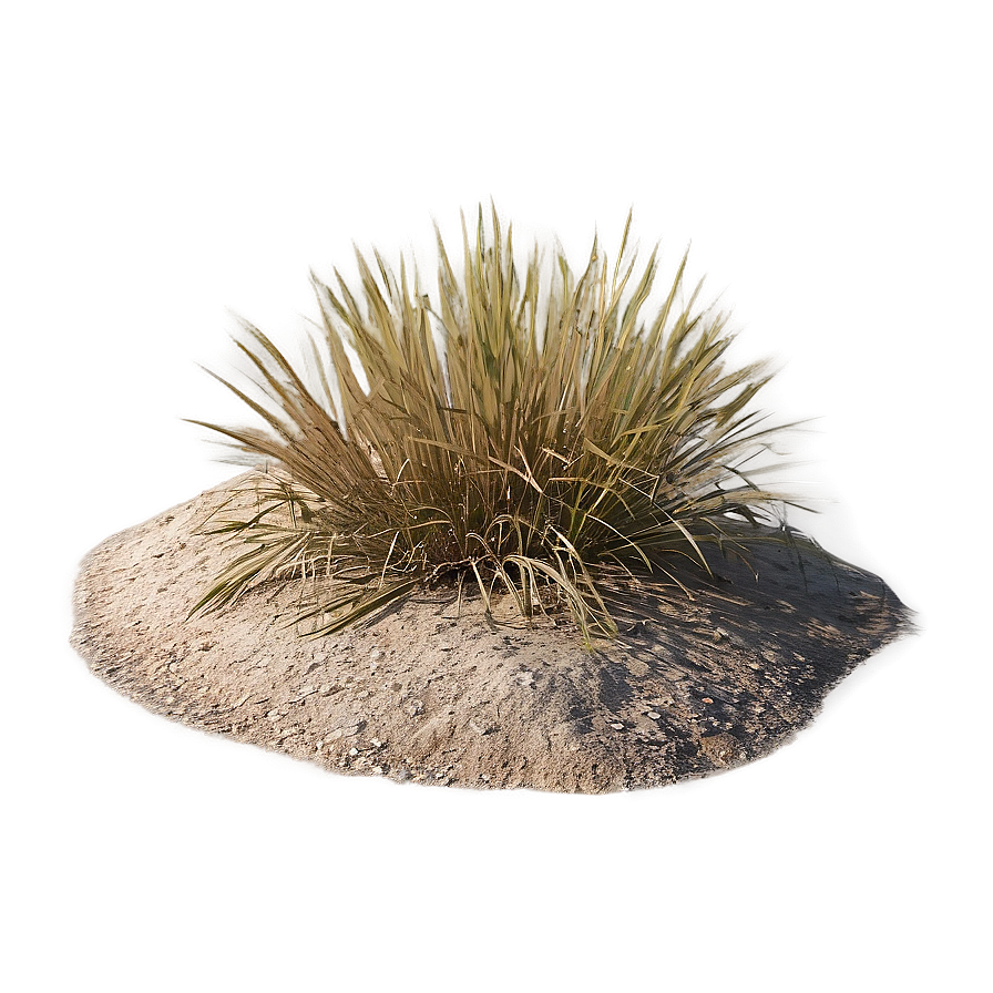 Arid Land Grass Png 97 PNG Image