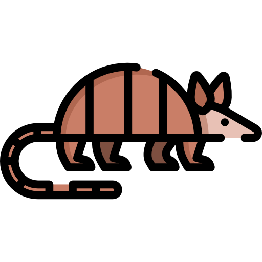 Armadillo Cartoon Illustration PNG Image