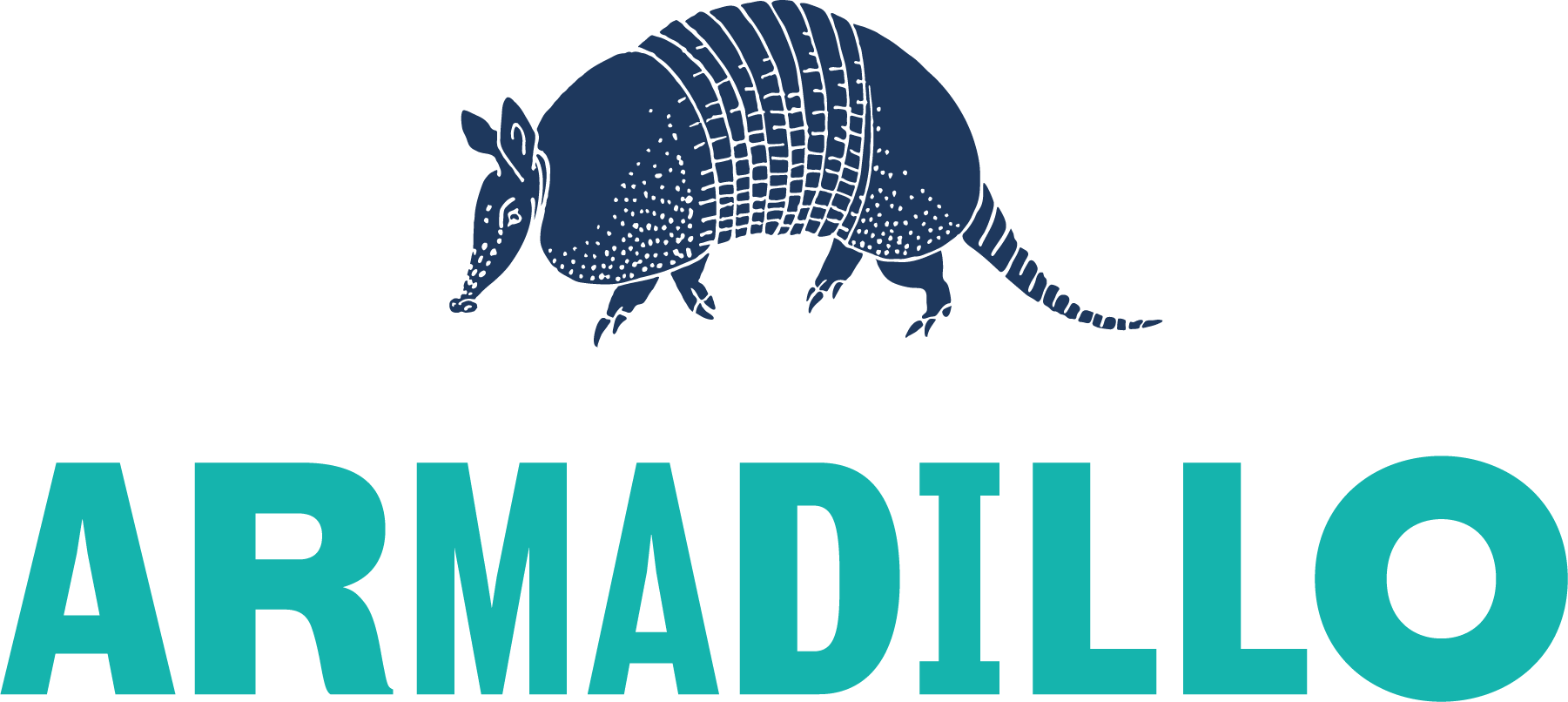 Armadillo Graphic Illustration PNG Image