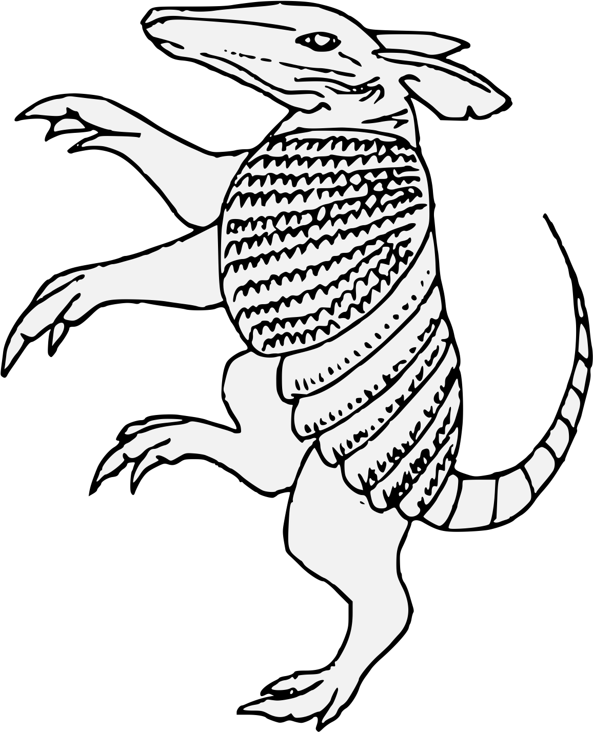 Armadillo_ Illustration_ Standing PNG Image