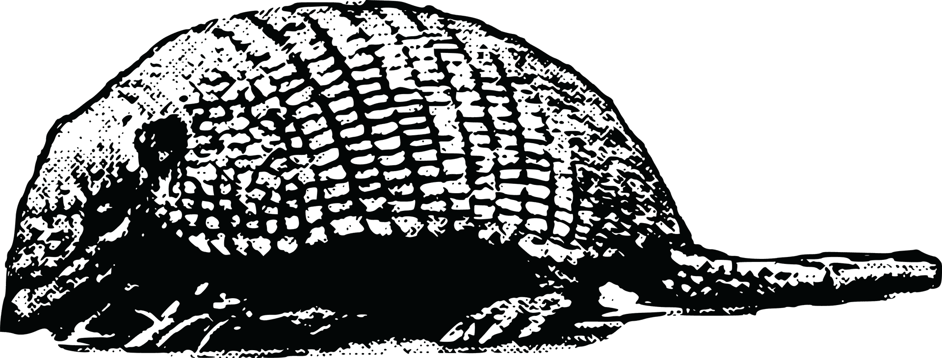 Armadillo Silhouette Graphic PNG Image