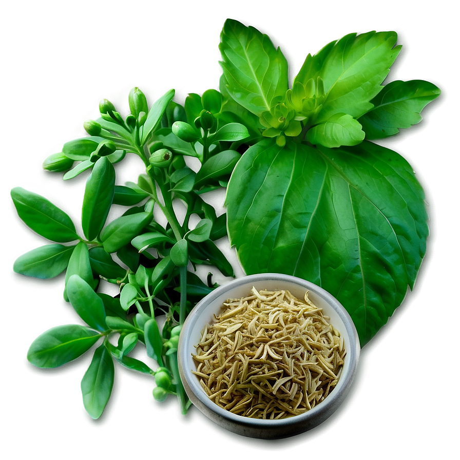 Aromatic Herb Png 06272024 PNG Image