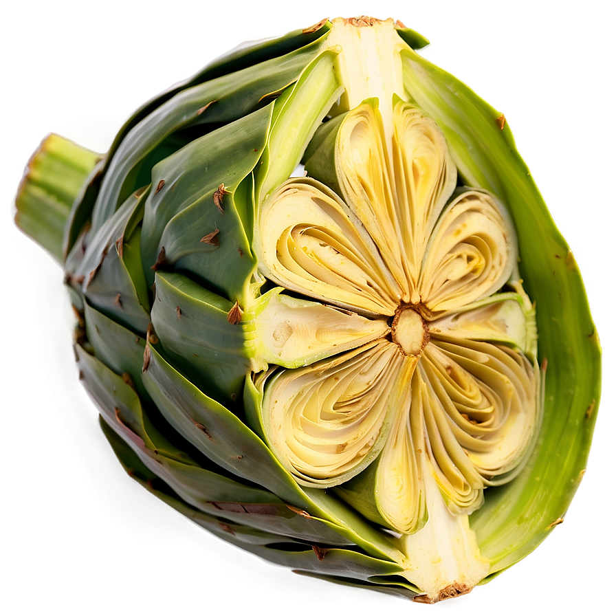 Artichoke Slice Png Dth78 PNG Image