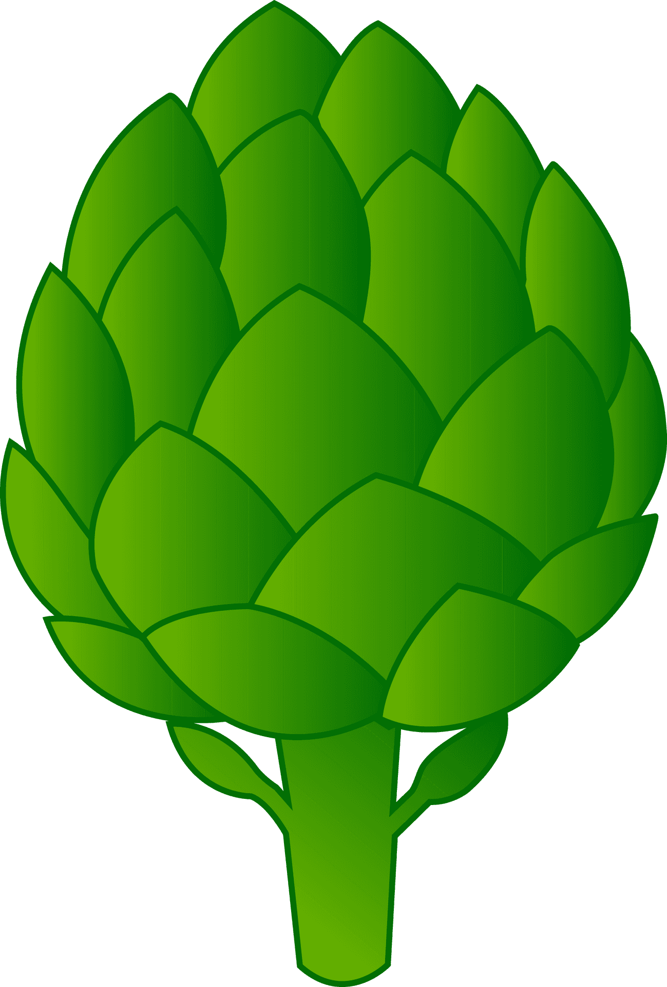 Artichoke Vector Illustration PNG Image