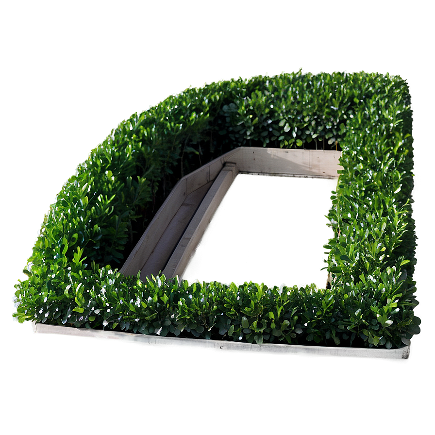 Artificial Boxwood Png Ckr PNG Image