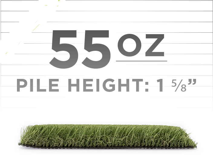 Artificial Grass Specifications PNG Image