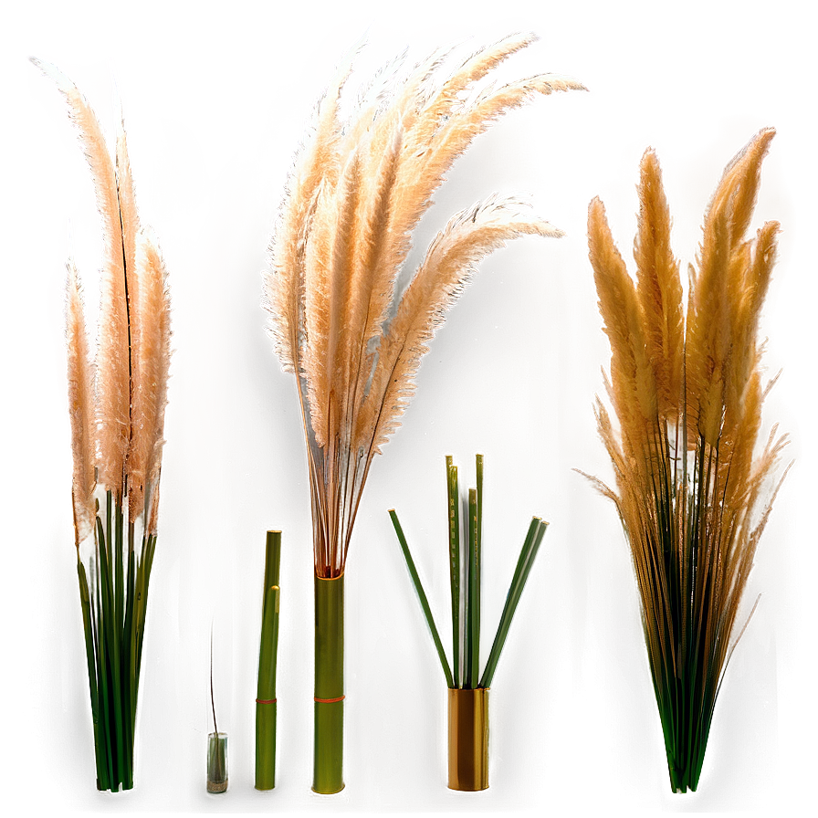 Artificial Pampas Grass Png Epk PNG Image