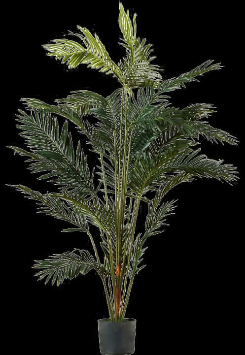 Artificial Potted Palm Plant PNG Image