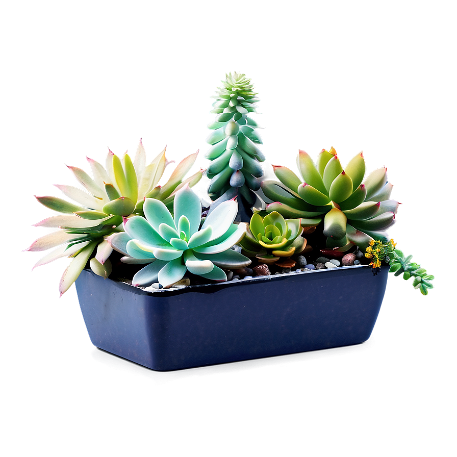 Artificial Succulents Design Png Yel85 PNG Image