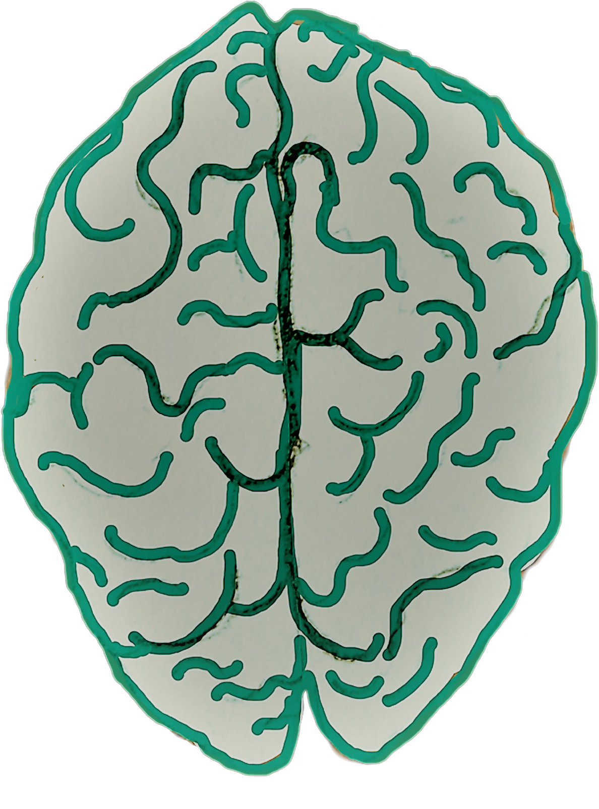 Artistic Brain Illustration.png PNG Image