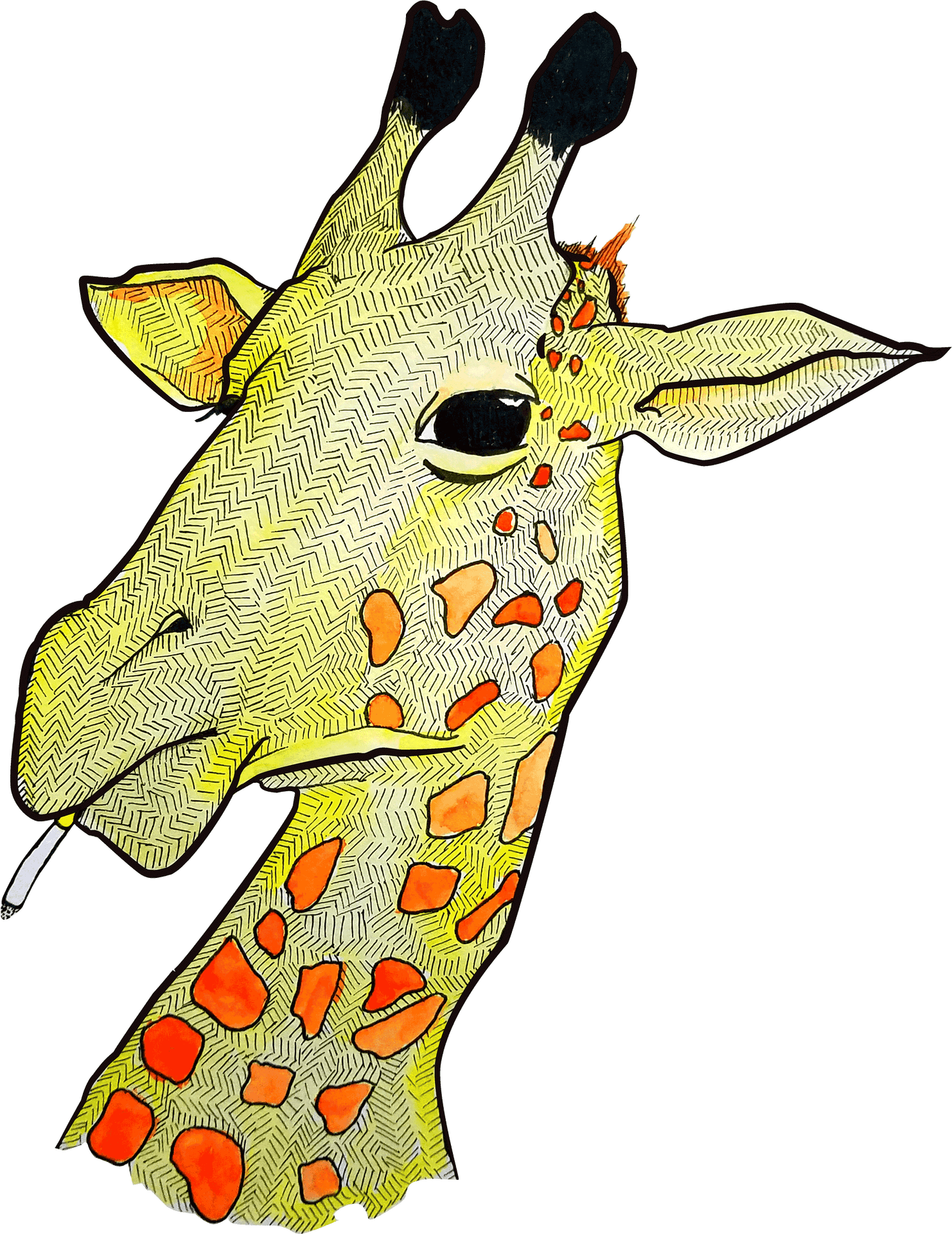 Artistic Giraffe Portrait PNG Image