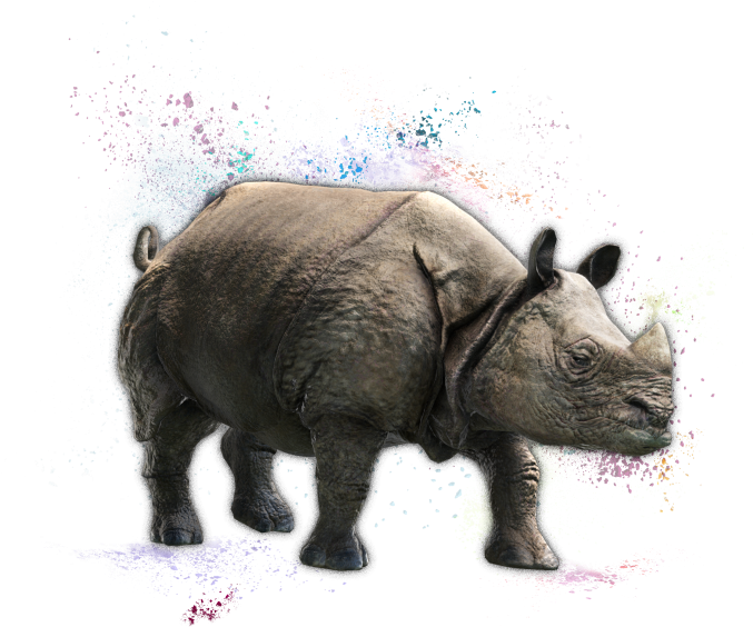 Artistic Rhinoceroswith Color Splash PNG Image