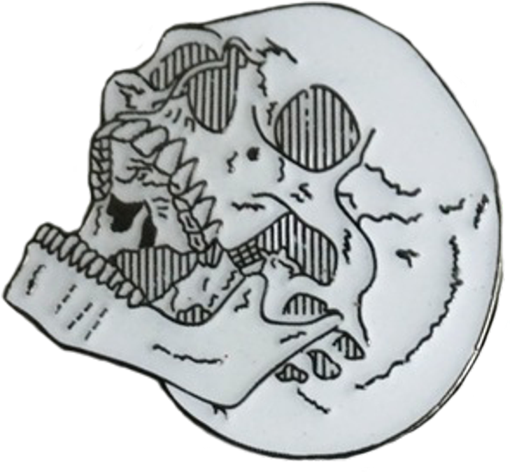 Artistic Skull Drawing PNG Image