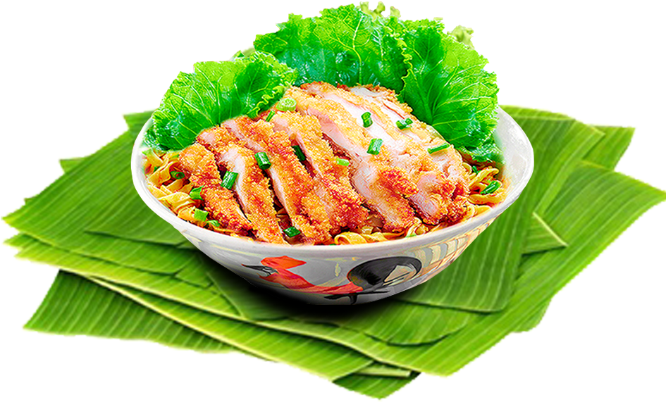 Asian Chicken Noodle Bowl PNG Image