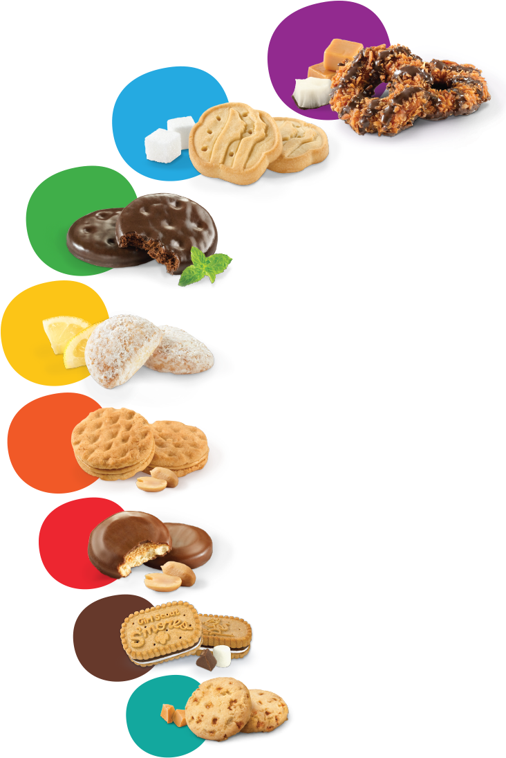 Assorted Cookies Variety PNG Image