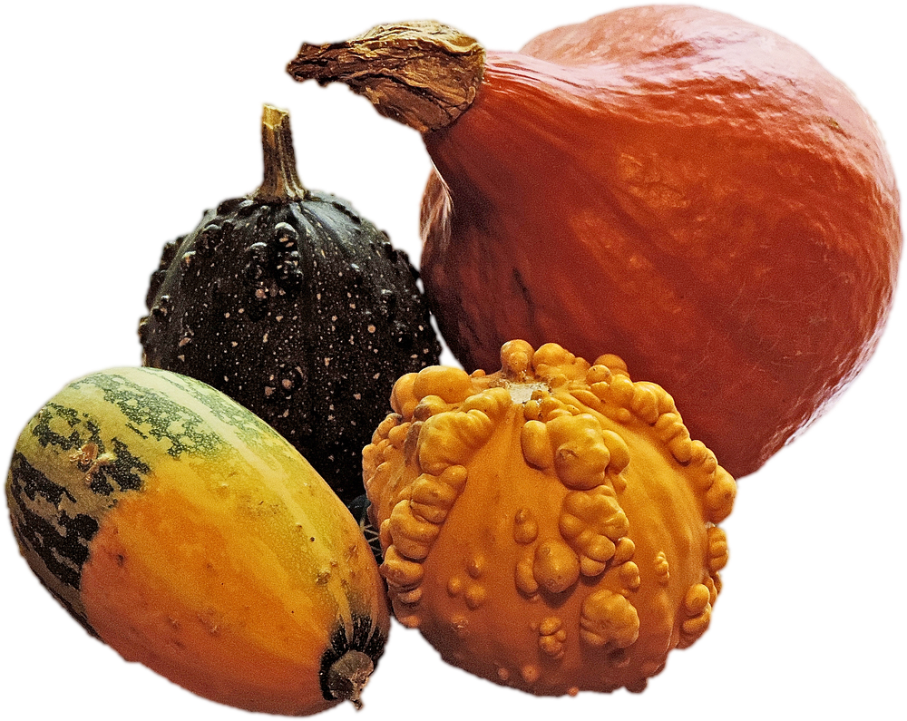 Assorted Decorative Squash Varieties PNG Image