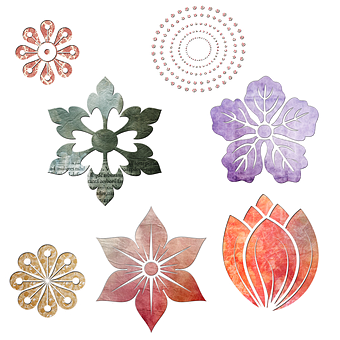 Assorted Floral Designs Black Background PNG Image