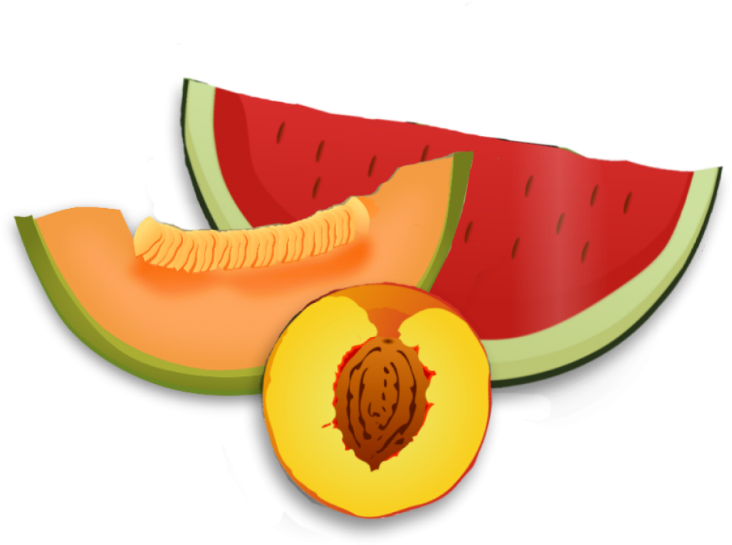 Assorted Fresh Fruit Slices Illustration PNG Image