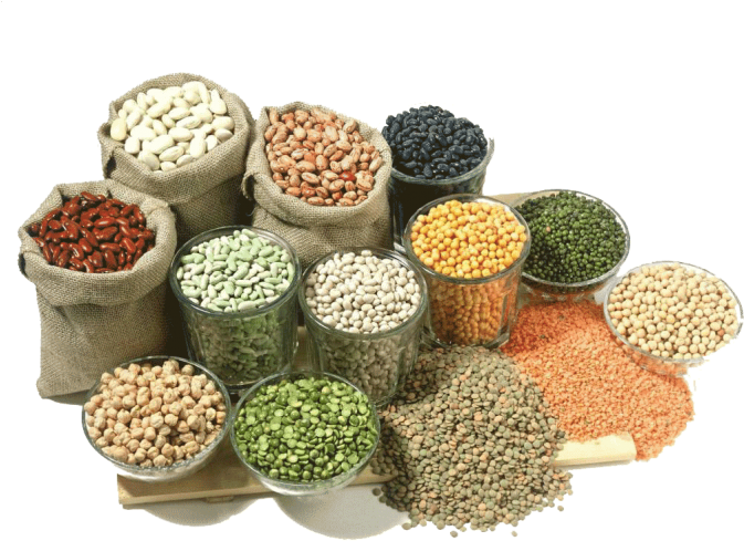 Assorted Legumesand Beans Display PNG Image