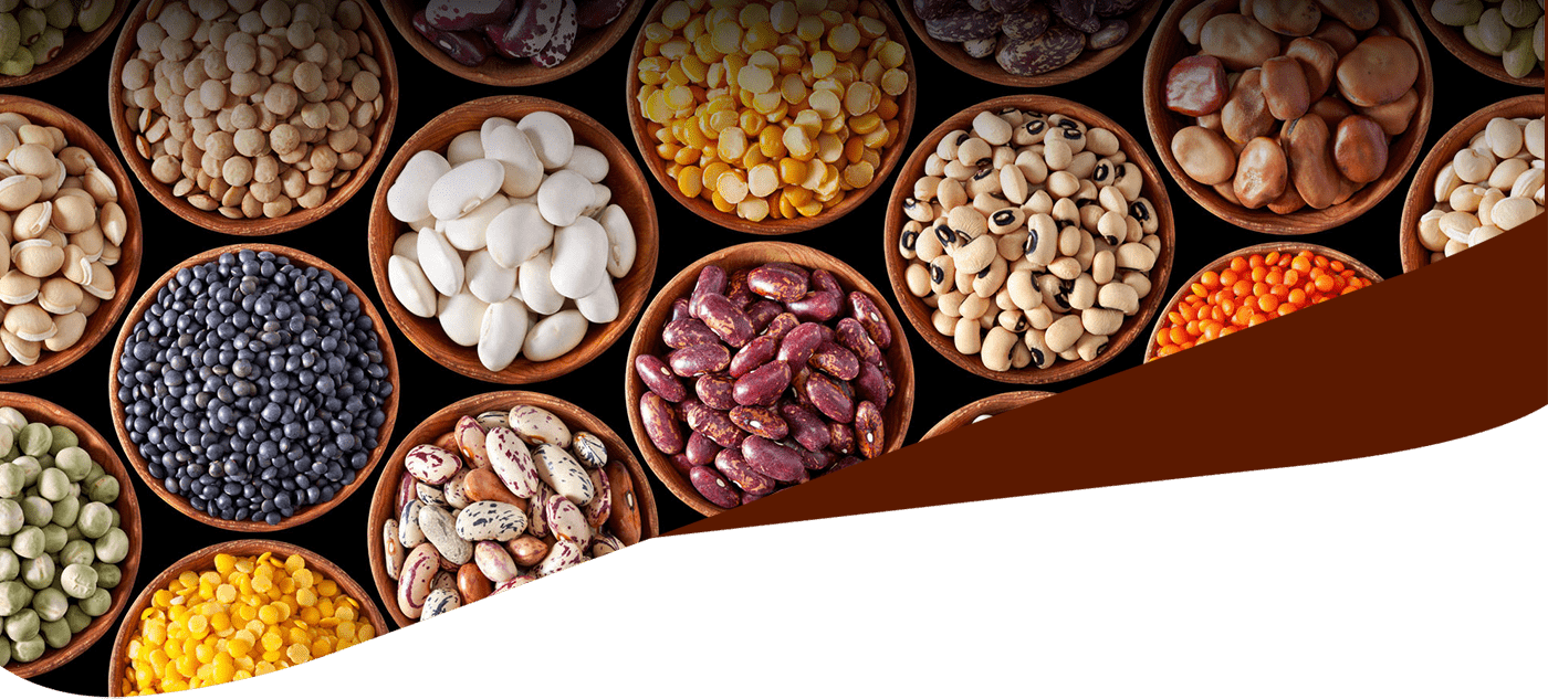 Assorted Legumesand Nuts Variety PNG Image