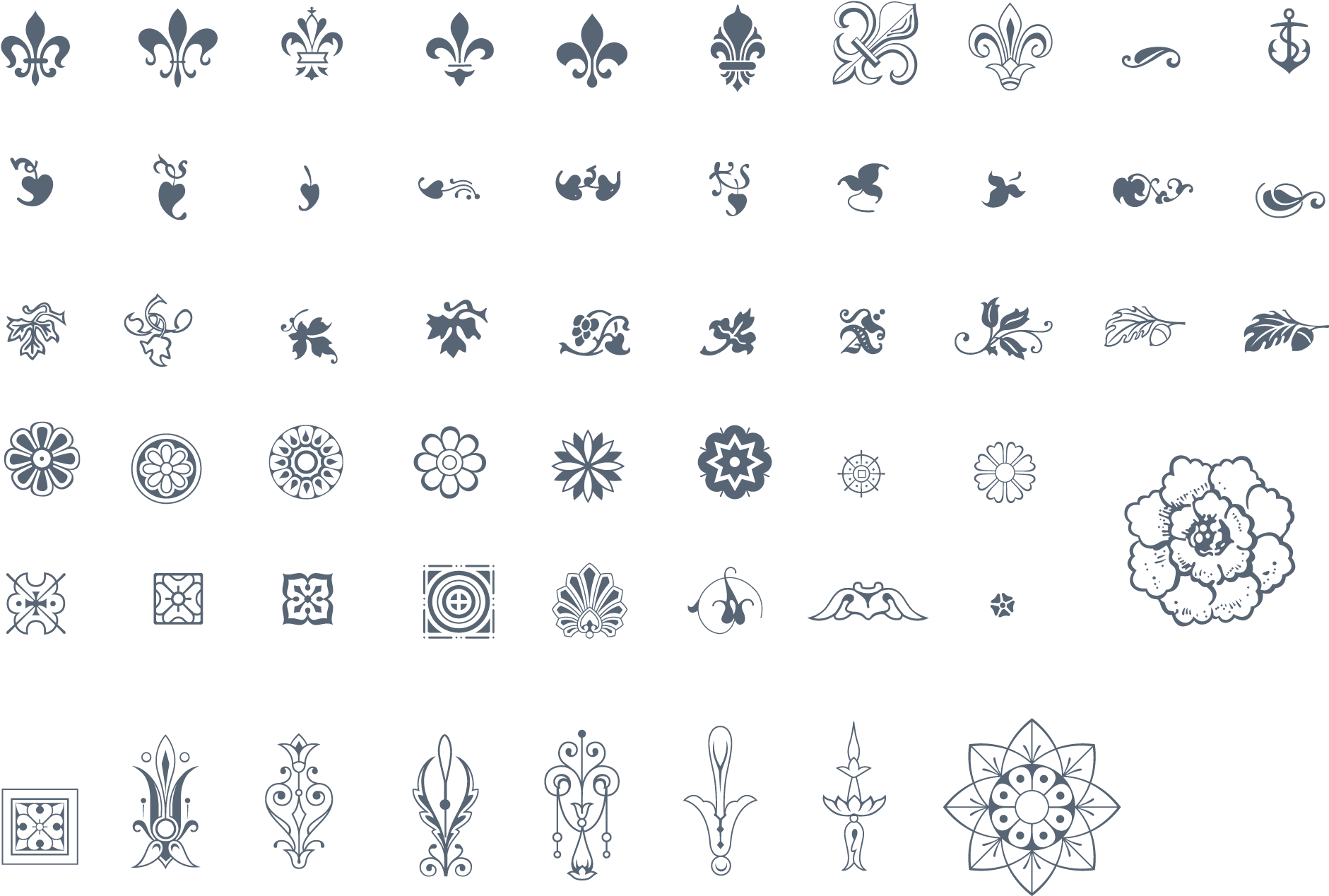 Assorted Ornament Vectors Collection PNG Image