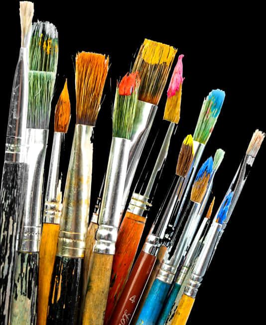 Assorted Paintbrushes Artist Tools PNG Image