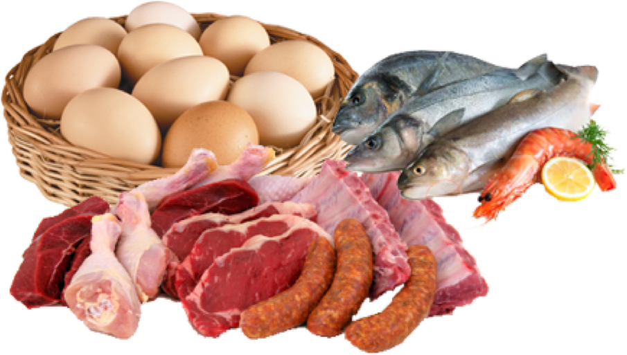 Assorted Protein Sources PNG Image