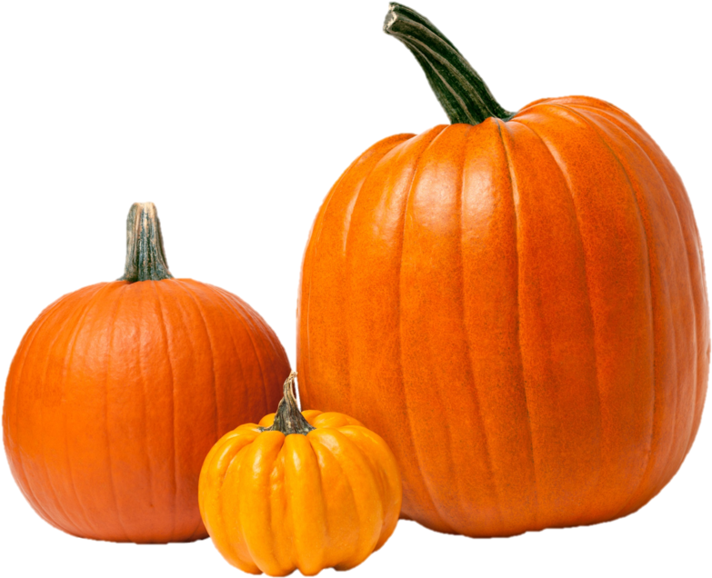 Assorted Pumpkinsand Squash PNG Image