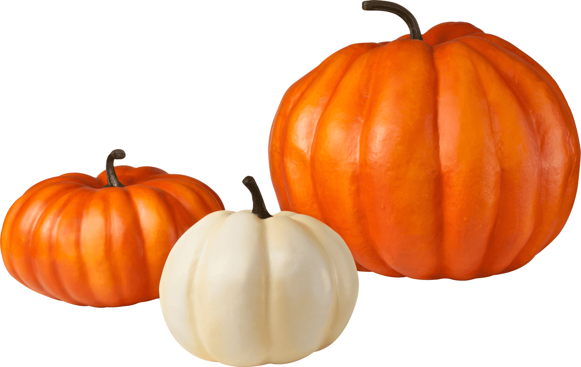 Assorted Squash Varieties PNG Image