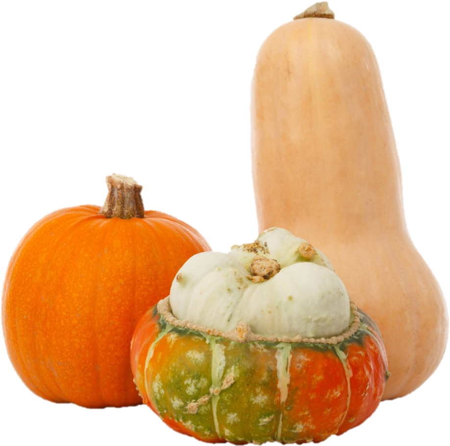 Assorted Squash Varieties PNG Image